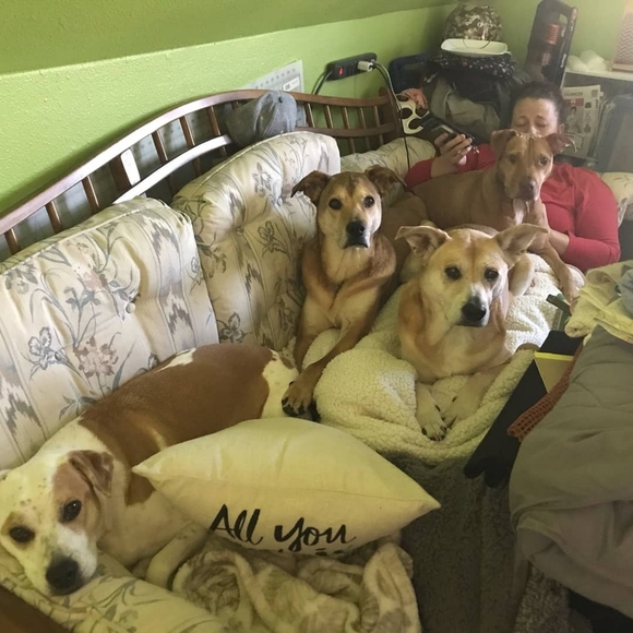 Meet your Posher, Jenn - Picture 14 of 16